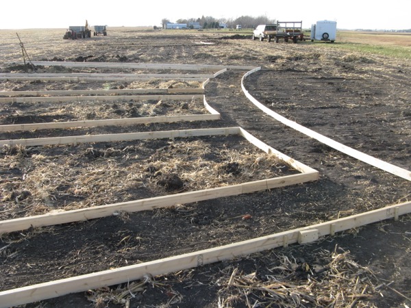IMG_2201.JPG